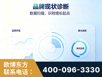 玉树-品牌现状诊断
